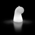 Draghetto Light Plus Junior