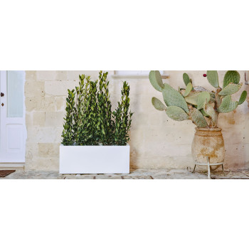 Matera monacis Blumenpflanzgefäß