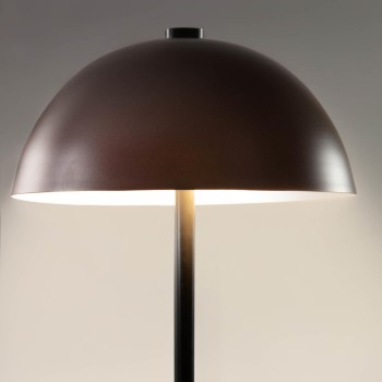 Aleyla Tischleuchte aus Metall mit Finish