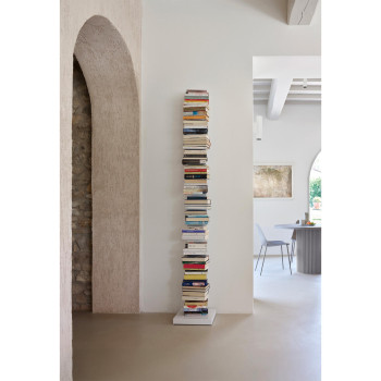 PTOLOMEO PT215 MEINUNG CIATTI VERTIKALES BÜCHERREGAL -PROMO-