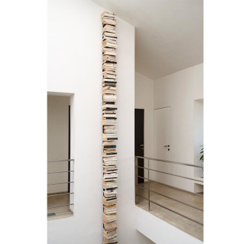 PTOLOMEO WALL 210 MEINUNG CIATTI VERTIKALES BÜCHERREGAL -AKTION-
