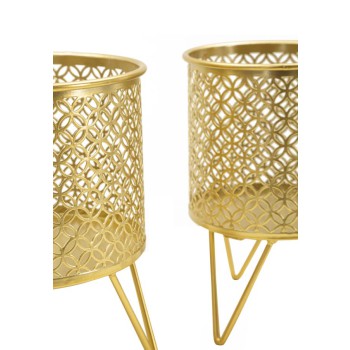 P/VASI CECI COUPLE
