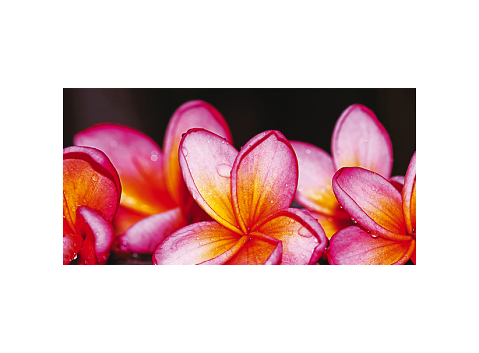 Rahmen G1134 PINTDECOR SCHÖNE BLUMEN