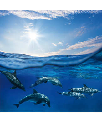 BLUE SEA G3326 PINTDECOR Rahmen