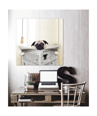 DAILY DOG G1576 PINTDECOR Rahmen