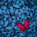 MAGENTA SCHMETTERLING G2088 PINTDECOR Gemälde