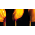 FIAMMA G2616 PINTDECOR Gemälde
