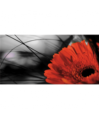 Gemälde „Rote Gerbera“ G2512 PINTDECOR