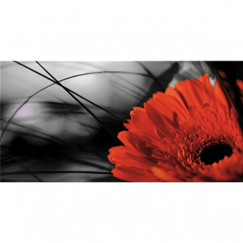 Gemälde „Rote Gerbera“ G2512 PINTDECOR