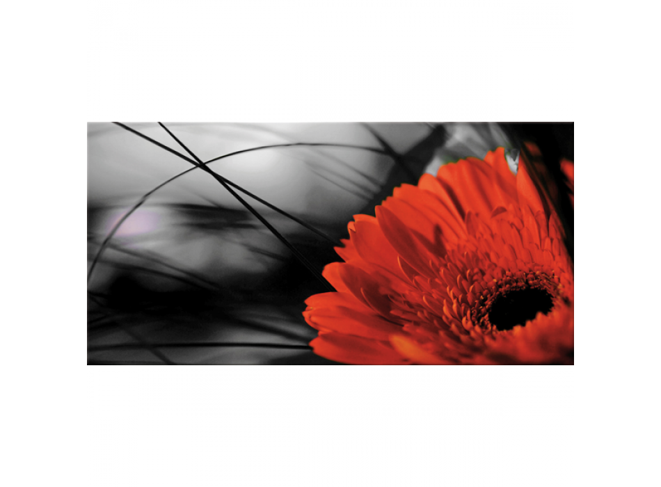 Gemälde „Rote Gerbera“ G2512 PINTDECOR