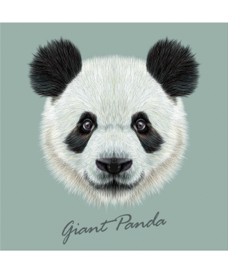 GIANT PANDA Rahmen G3382 PINTDECOR