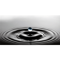 DROP G2532 PINTDECOR Gemälde