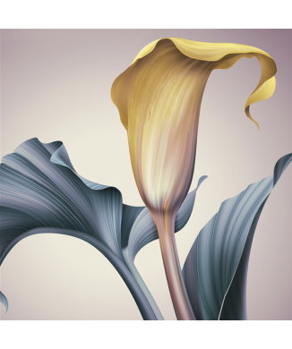 Gemälde THE WHITE CALLA G1996 PINTDECOR