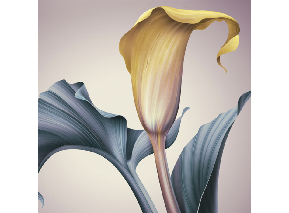 Gemälde THE WHITE CALLA G1996 PINTDECOR