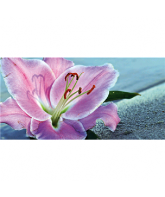 LILY G5220 PINTDECOR Gemälde