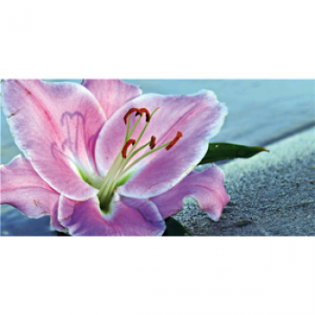 LILY G5220 PINTDECOR Gemälde