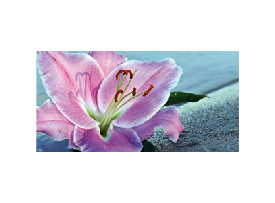 LILY G5220 PINTDECOR Gemälde