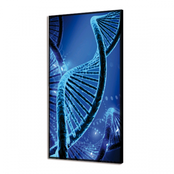 DNA GL3488 PINTDECOR LICHTBILD