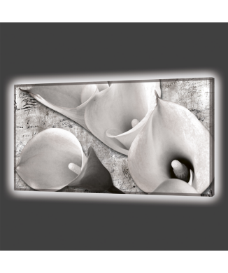 FOUR CALLE LIGHT GL6750 PINTDECOR
