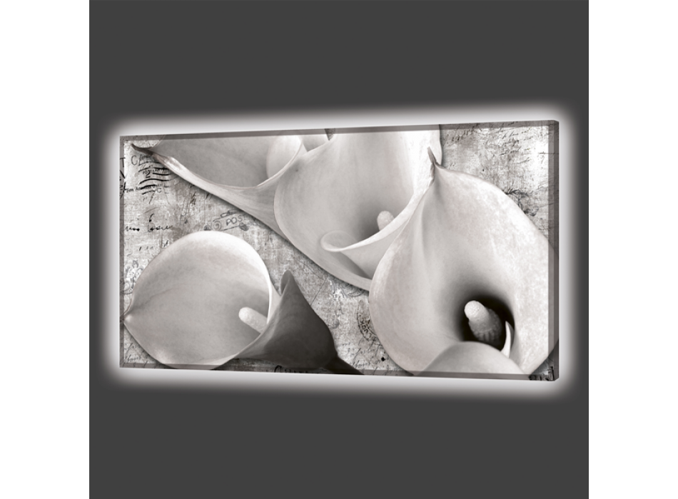 FOUR CALLE LIGHT GL6750 PINTDECOR