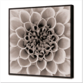 GL3432 PINTDECOR BRIGHT BLOSSOM Gemälde