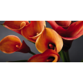 Gemälde „Bündel Calla Lips“ G1914 PINTDECOR