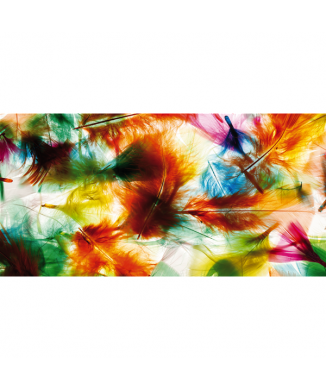 Bunte Federn G1434 PINTDECOR