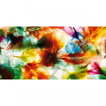 Bunte Federn G1434 PINTDECOR