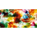 Bunte Federn G1434 PINTDECOR