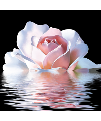 Gemälde PINK REFLECTION G2574 PINTDECOR