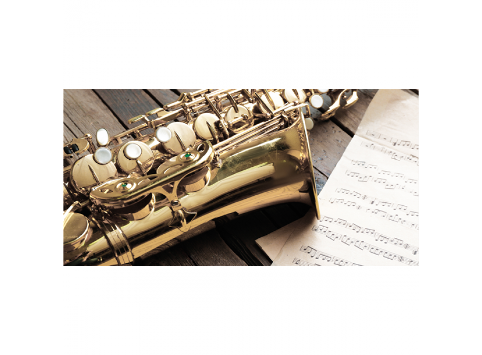 SAX G2938 PINTDECOR Gemälde