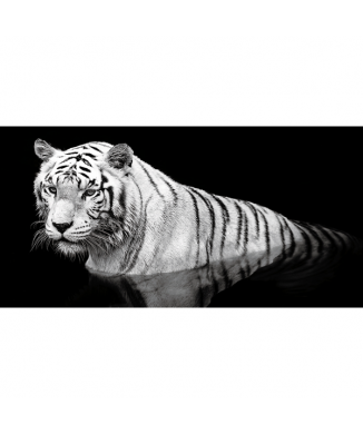 TIGER IM WASSER G2010 PINTDECOR Gemälde