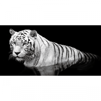 TIGER IM WASSER G2010 PINTDECOR Gemälde