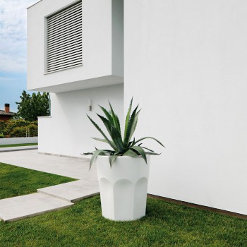 CUBALIBRE VASE 6223 PLUST