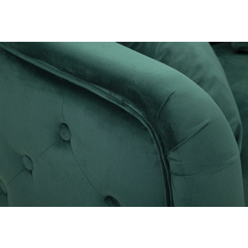 BUKUREŠŤ ZELENÁ POHOVKA