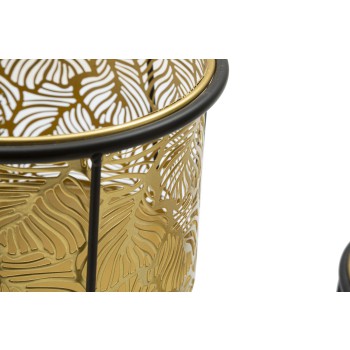 P/VASI LEAVY PÁR -A-