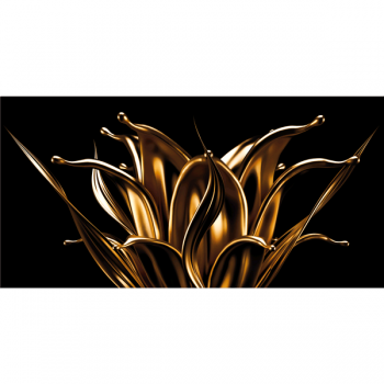 3D obraz PLAMEN KVĚT G4776 PINTDECOR