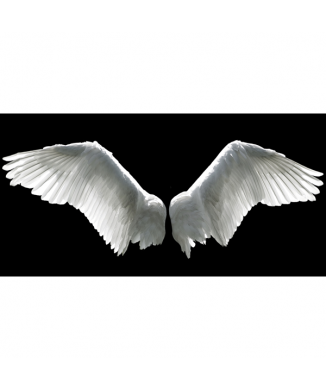 Obraz ANDĚLSKÁ KŘÍDLA G2216 PINTDECOR