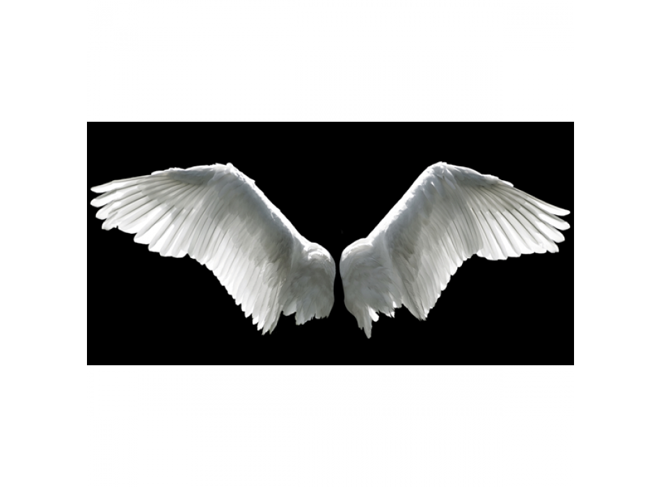 Obraz ANDĚLSKÁ KŘÍDLA G2216 PINTDECOR