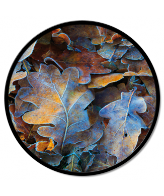 RÁMOVÁ PODZIMNÍ OBRAZOVKA GT6212