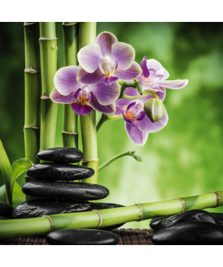 BAMBOO G2246 PINTDECOR malba