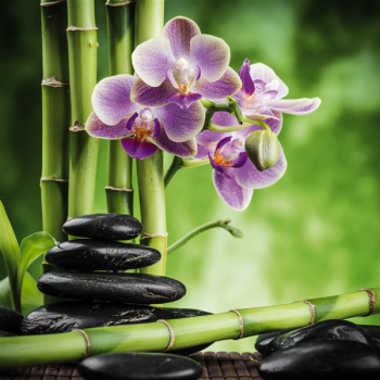 BAMBOO G2246 PINTDECOR malba