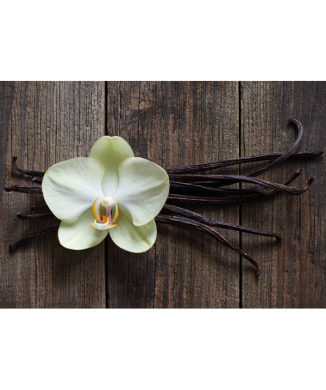 VANILKOVÉ TYČINKY G1968 PINTDECOR