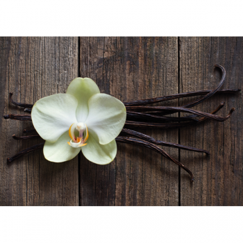 VANILKOVÉ TYČINKY G1968 PINTDECOR