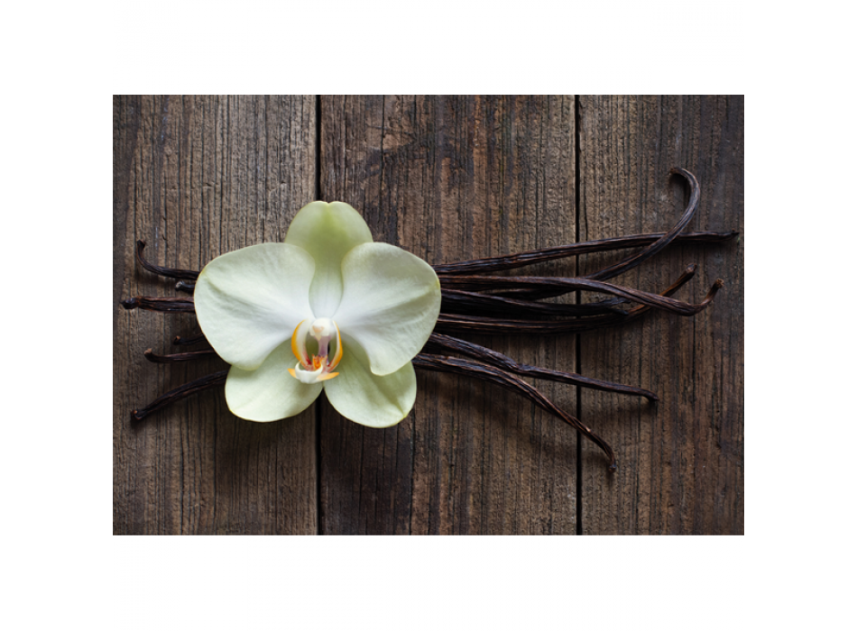 VANILKOVÉ TYČINKY G1968 PINTDECOR