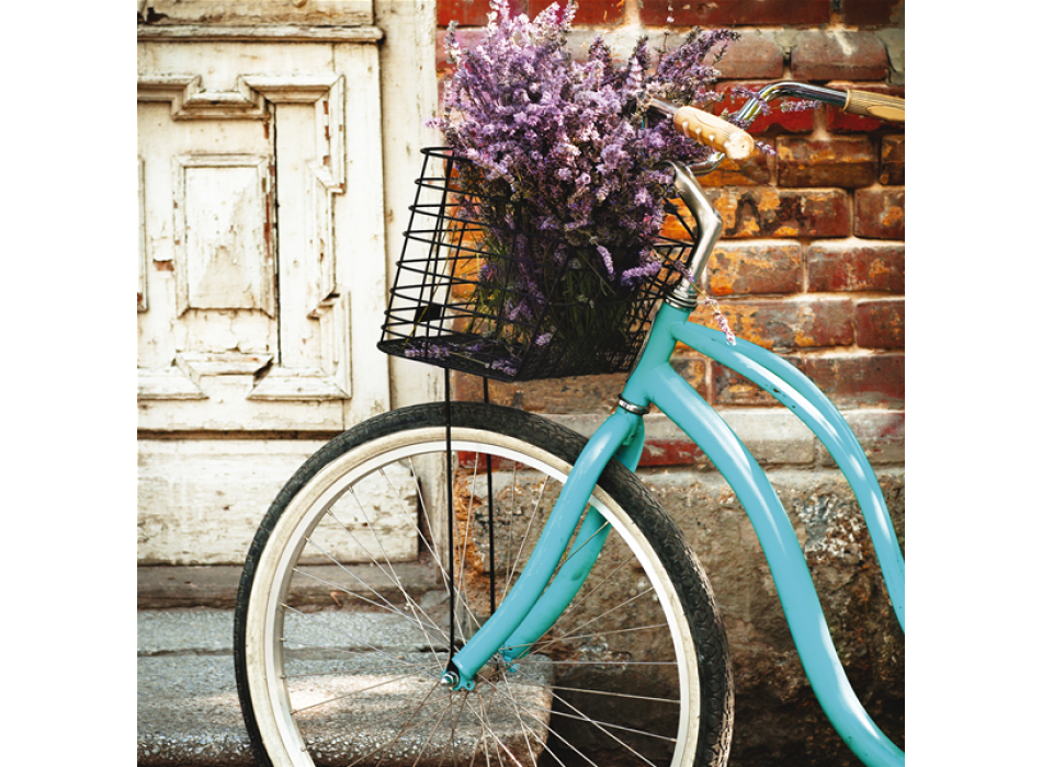 Obraz TYRKÝZOVÉ KOLO G1076 PINTDECOR