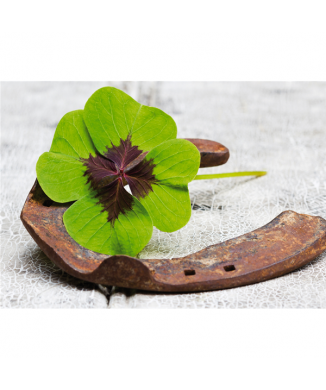 Obraz HODNĚ ŠTĚSTÍ G1948 PINTDECOR