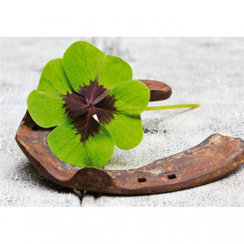 Obraz HODNĚ ŠTĚSTÍ G1948 PINTDECOR