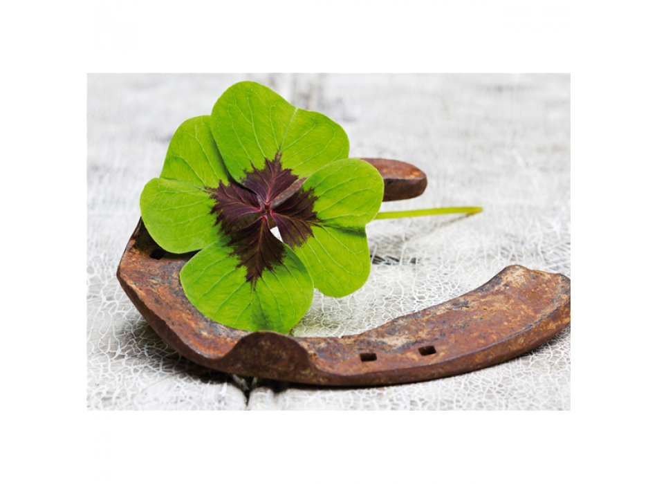 Obraz HODNĚ ŠTĚSTÍ G1948 PINTDECOR