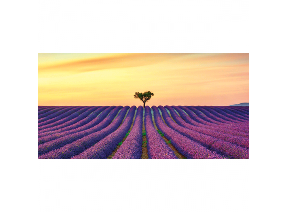 INFINITE FIELDS G4138 PINTDECOR obraz